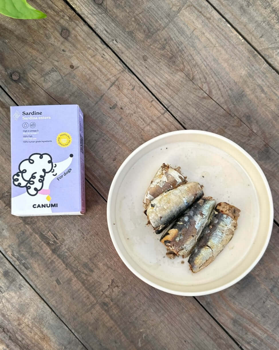 Canumi Sardines - Main Image